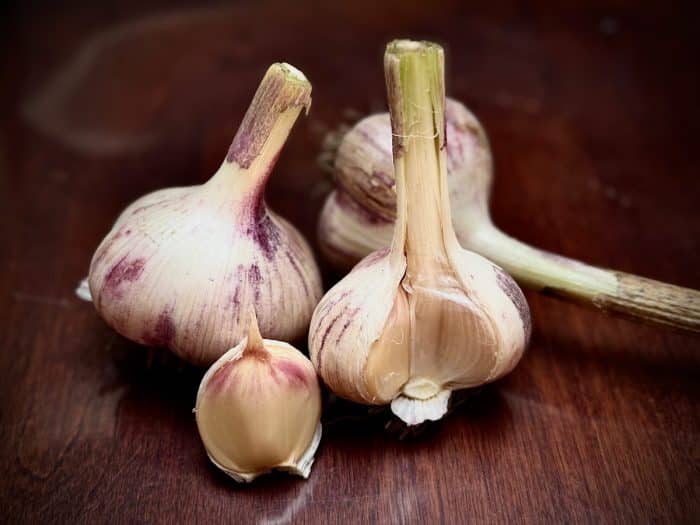 Russian red garlic