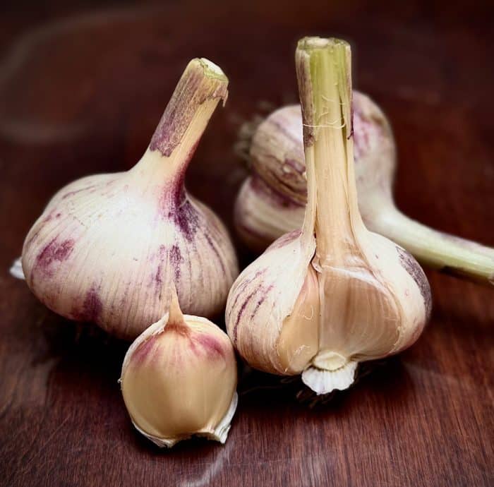 Russian Red Garlic Small/Medium
