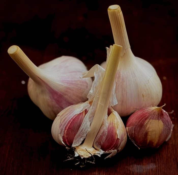 Music Organic Garlic - Small/Medium